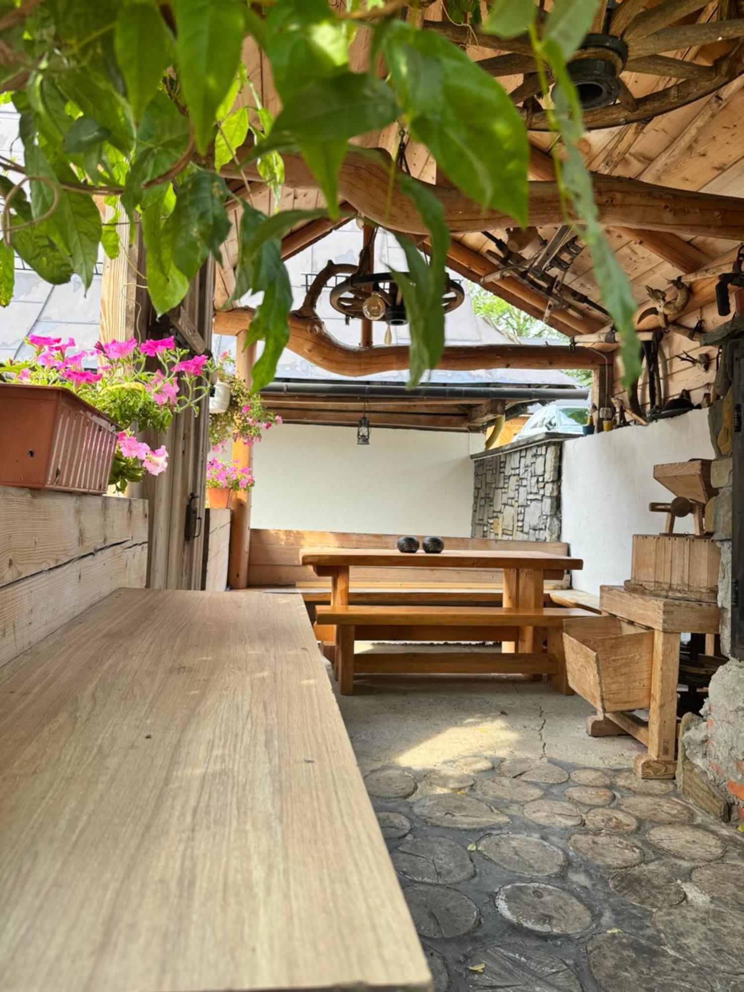 U Mlynorza Apartment Suche Exterior foto